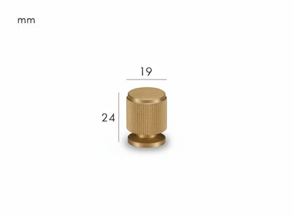 Solen Knob – Satin Brass